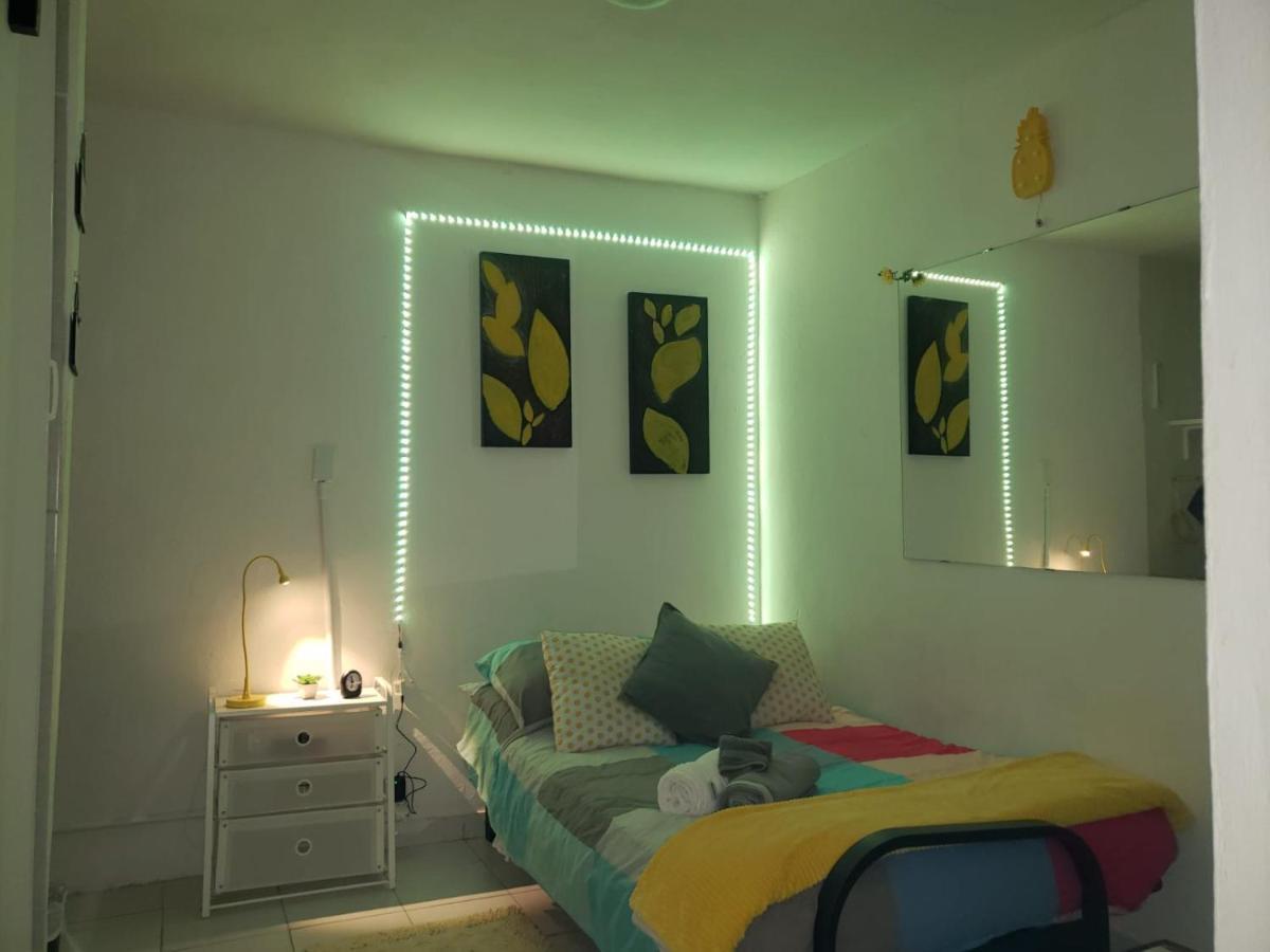 Tropical #2 Apartment