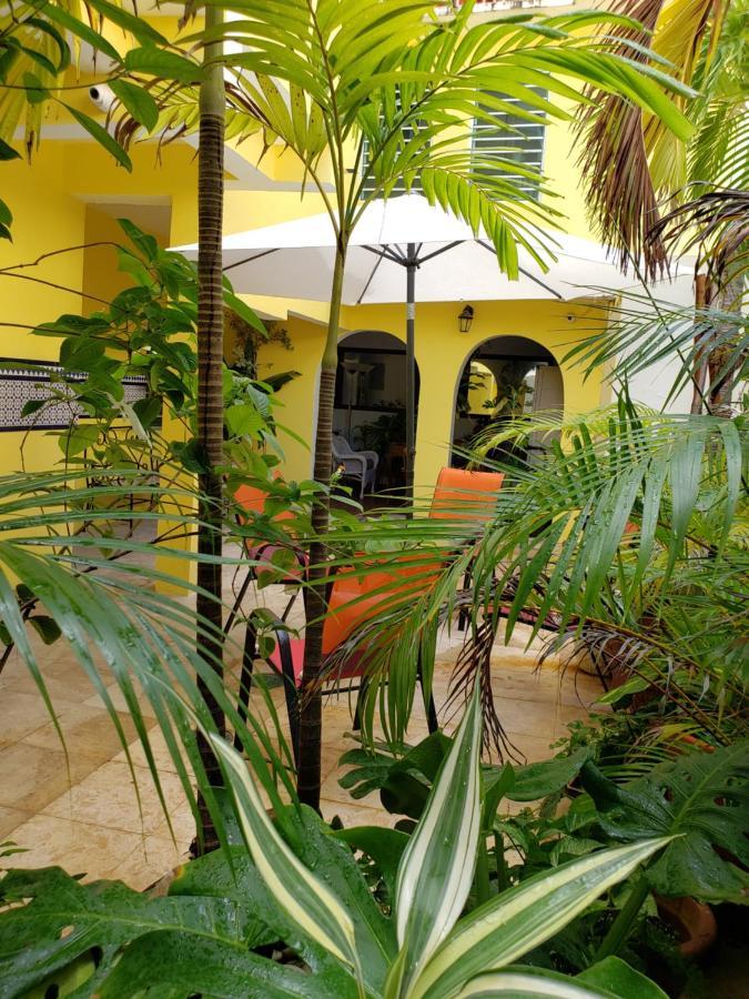 Andalucia Guest house San Juan