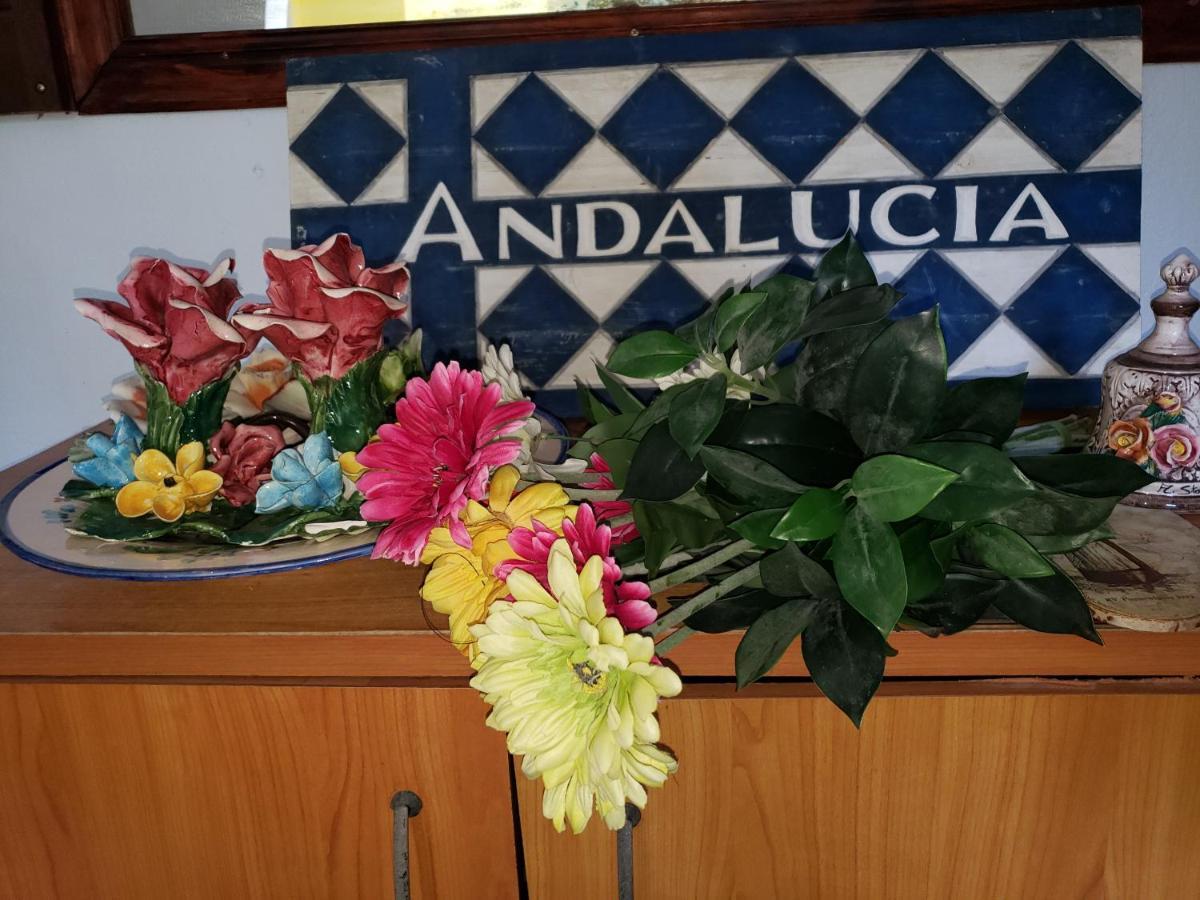 Guest house Andalucia