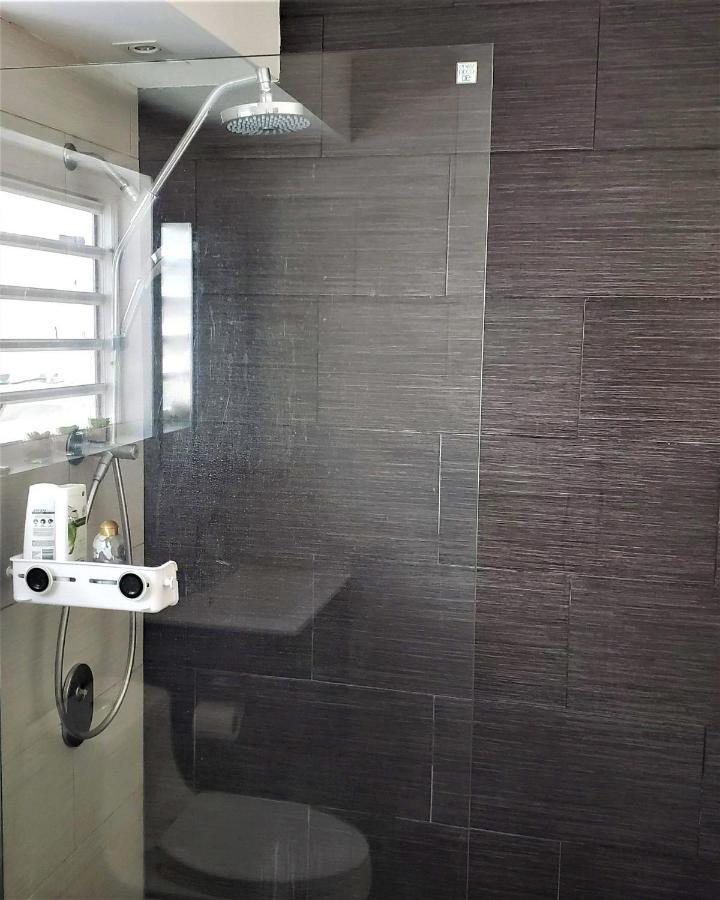 Apartment Kasa Ritz At The Lagoon Large Studio 1 Block To Beach At La Concha San Juan