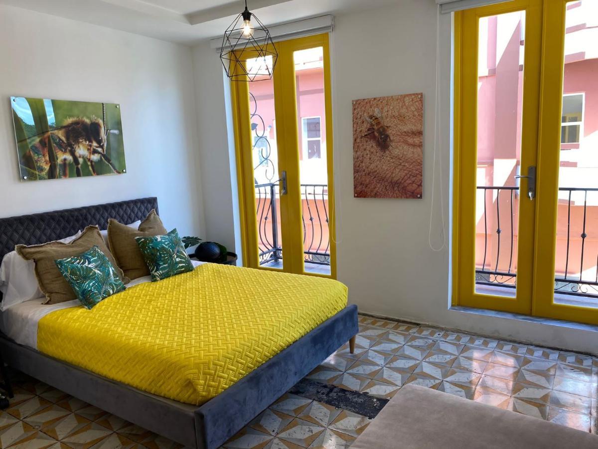 Nest San Juan