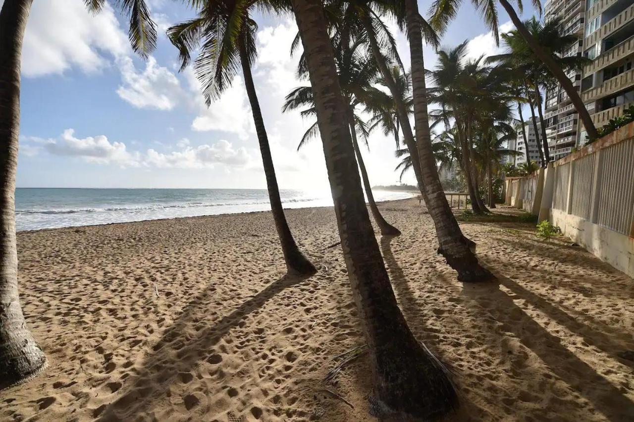 Apartment Kasa Palmas For 2 Ocean View Beachfront Pool *