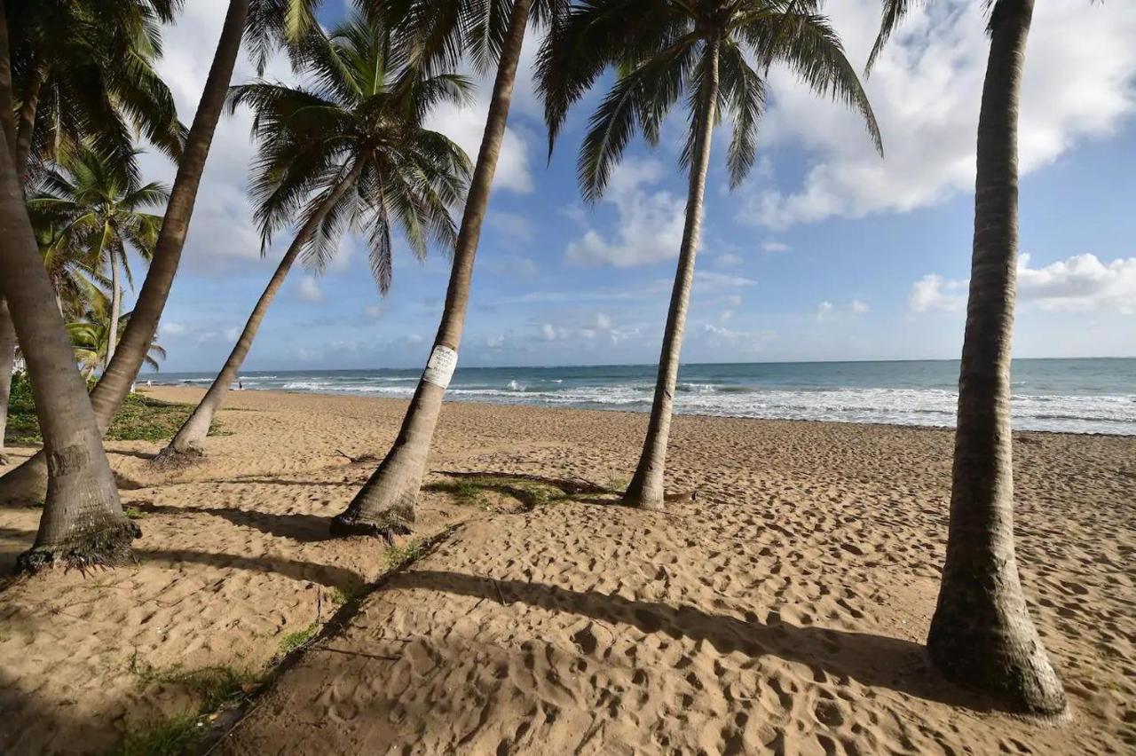 Kasa Palmas For 2 Ocean View Beachfront Pool