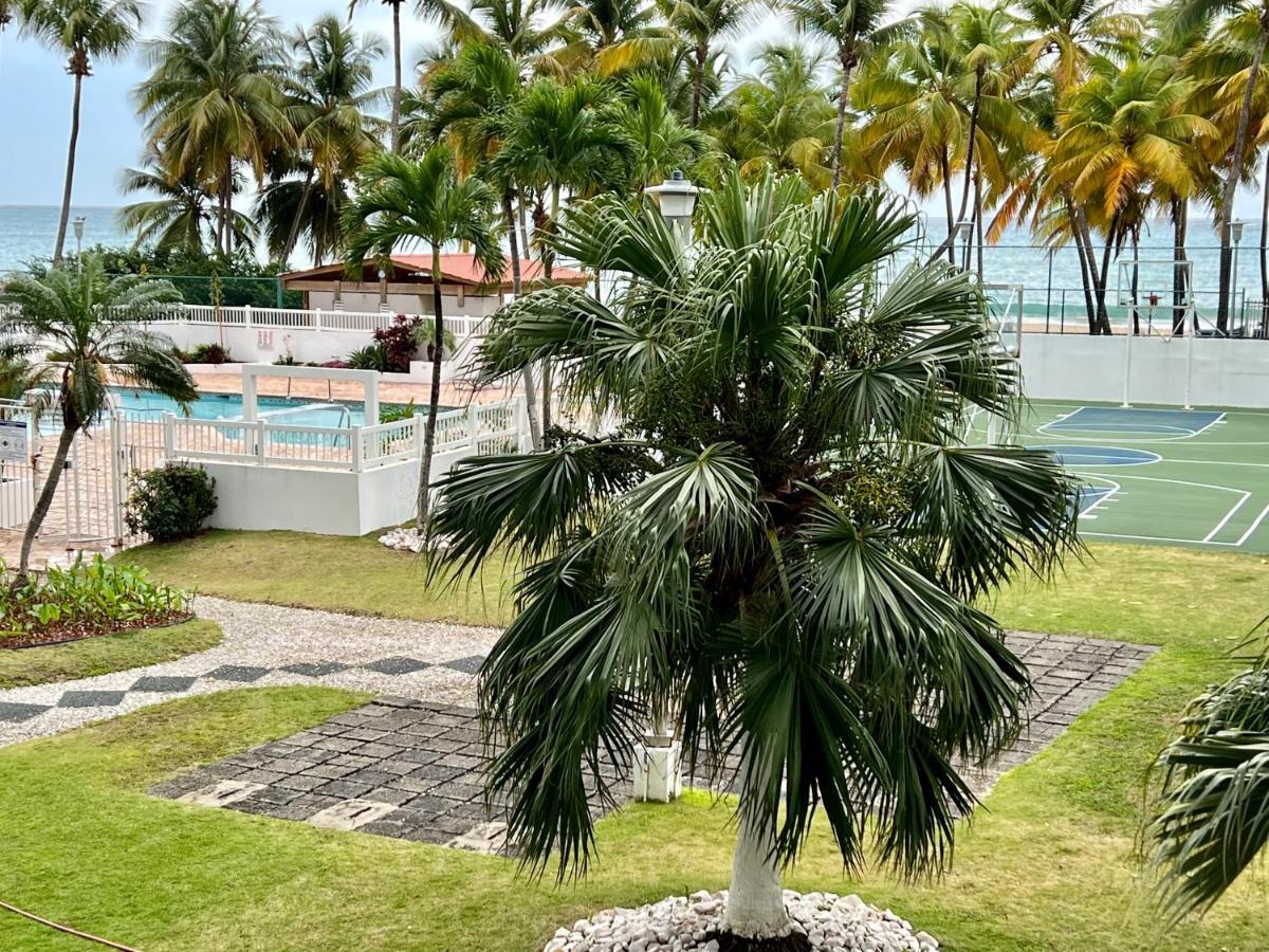 Beachfront Tropical Tantra