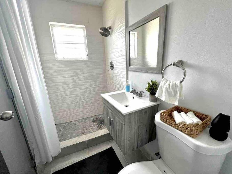 Casa Gumamela - Bright & Spacious 6-bedroom Units * San Juan