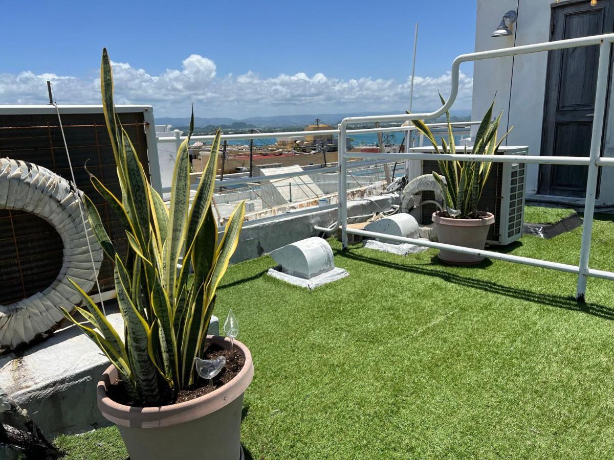 Apartment Kasa Roof 6 1 Bed 1 Bath For 2 Guests Amazing Views Old