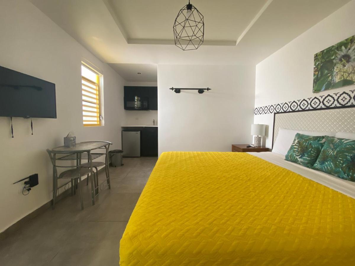 Nest San Juan