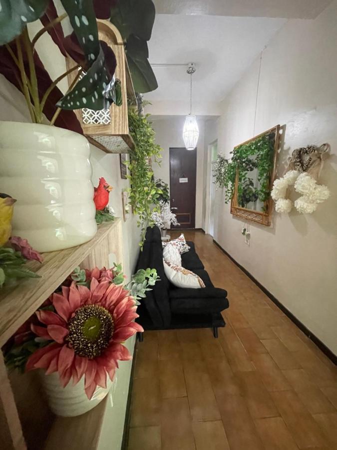 The Garden Apartment, The Willow Apartment, & The Tropical At Casa Of Essence In Old Apartment *