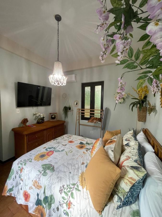 The Garden Apartment, The Willow Apartment, & The Tropical At Casa Of Essence In Old Apartment