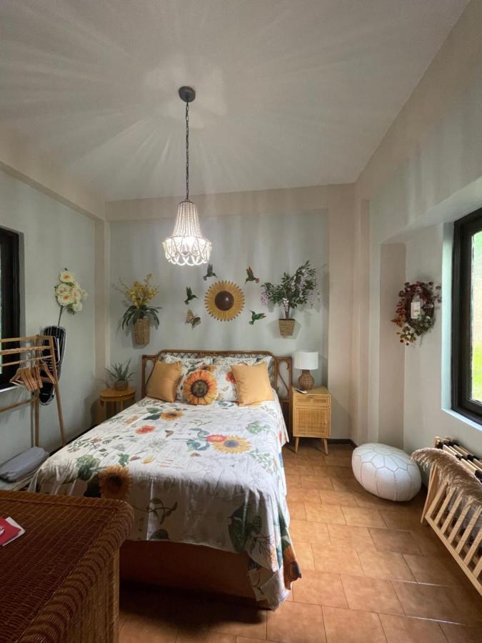 The Garden Apartment, The Willow Apartment, & The Tropical At Casa Of Essence In Old Apartment San Juan