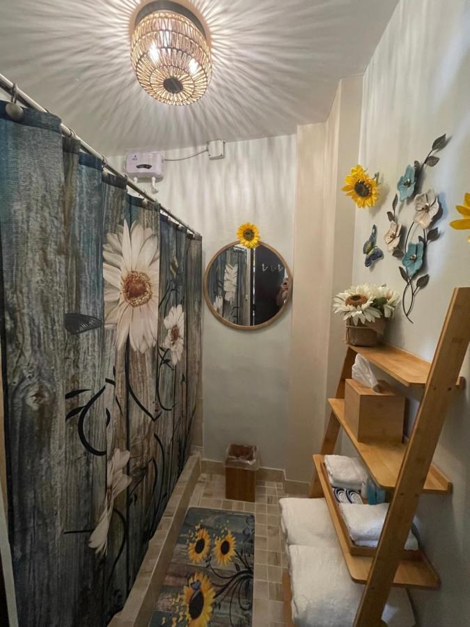 The Garden Apartment, The Willow Apartment, & The Tropical At Casa Of Essence In Old Apartment *