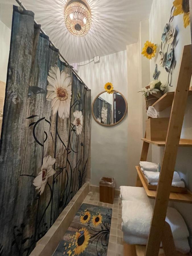The Garden Apartment, The Willow Apartment, & The Tropical At Casa Of Essence In Old Apartment