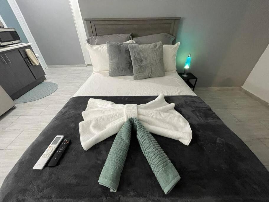 Urban One @ Roosevelt 457 Apartment San Juan