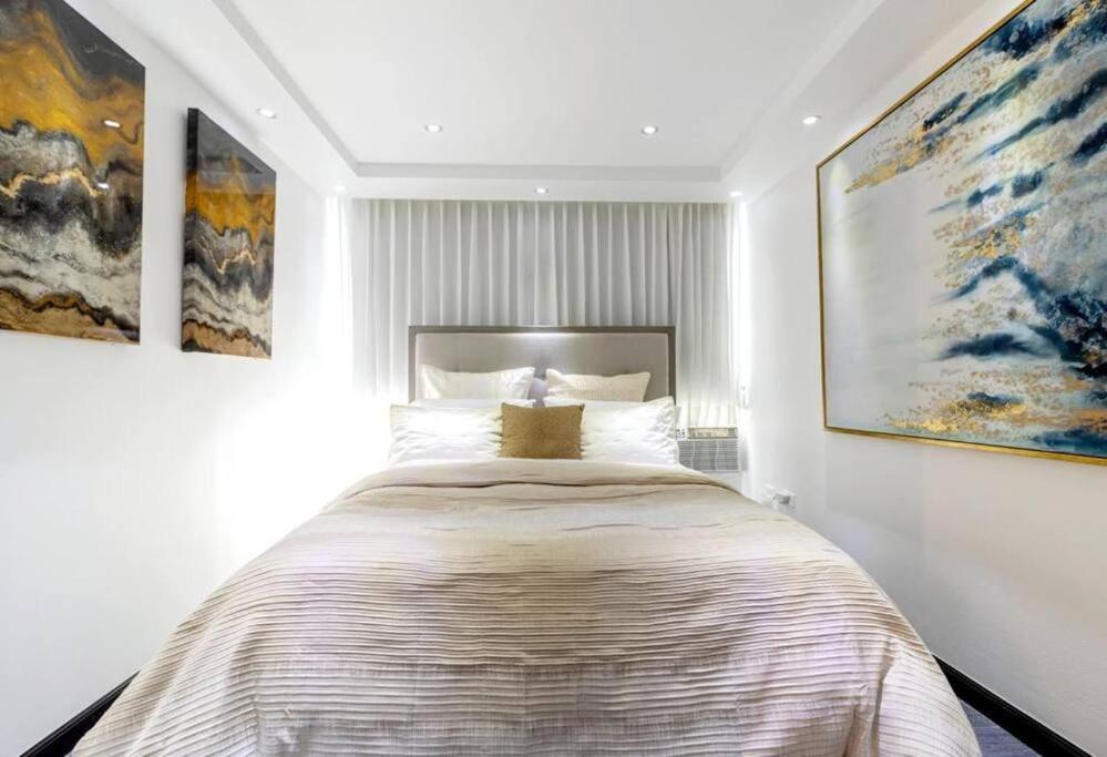 Apartment 1 Bed 1 Bath 1 Parking Boutique In Rio Piedras San Juan