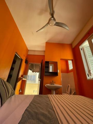 Apartment Fresh Tropical Colonial Style Walk-up- Rooftop Terrace- View San Juan