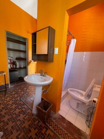 Apartment Fresh Tropical Colonial Style Walk-up- Rooftop Terrace- View San Juan