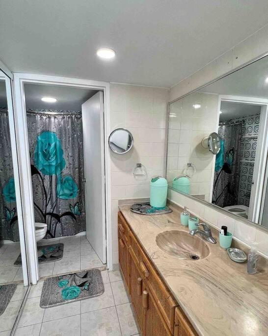 Gorgeous Ocean View W/beach Access & Parking Apartment San Juan