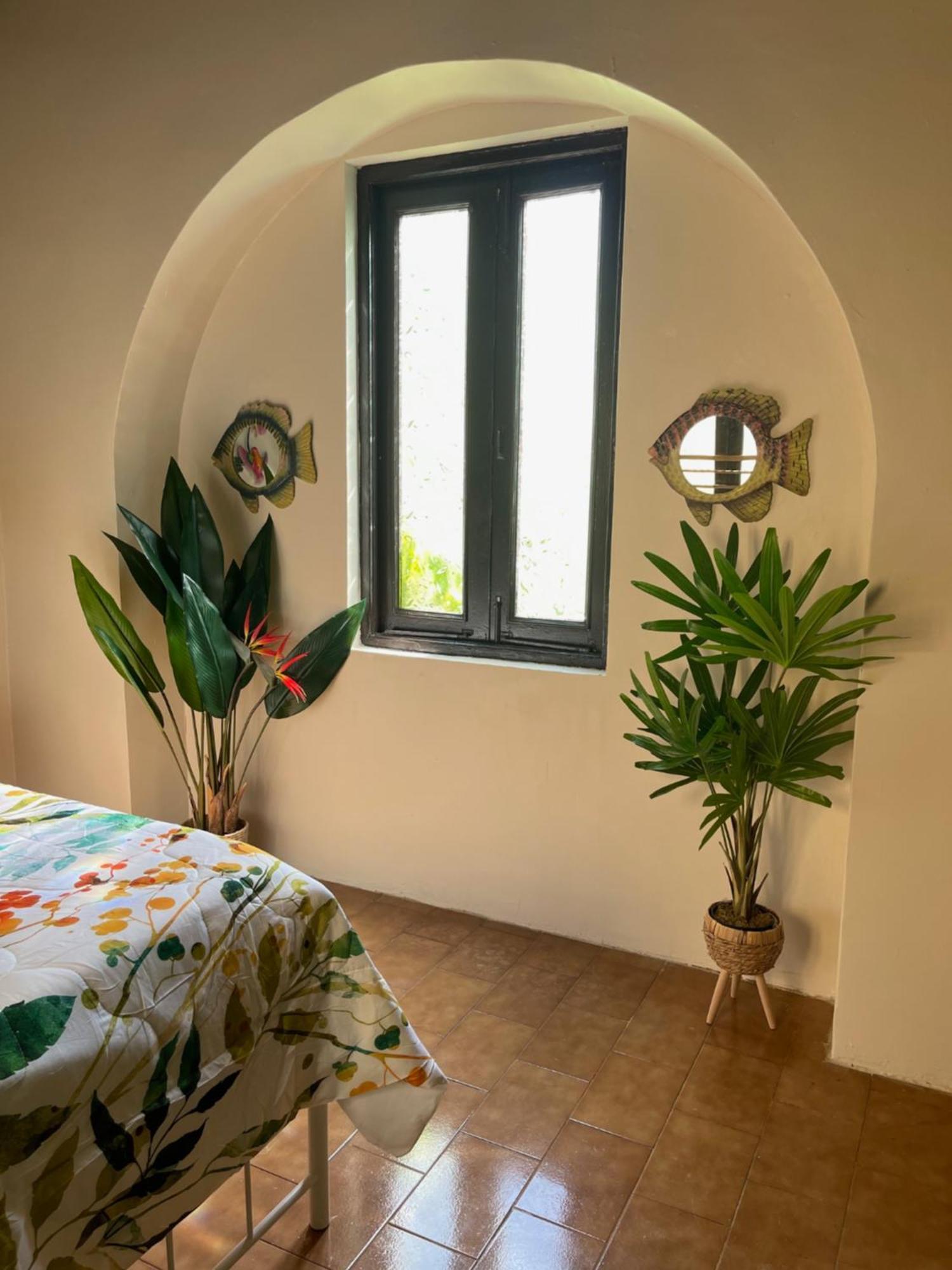 The Garden Apartment, The Willow Apartment, & The Tropical At Casa Of Essence In Old * San Juan
