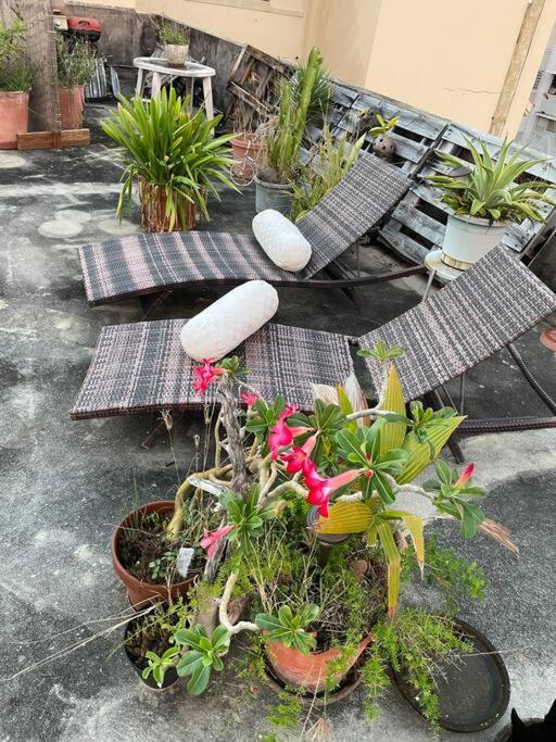 Fresh Tropical Colonial Style Walk-up- Rooftop Terrace- View Apartment San Juan