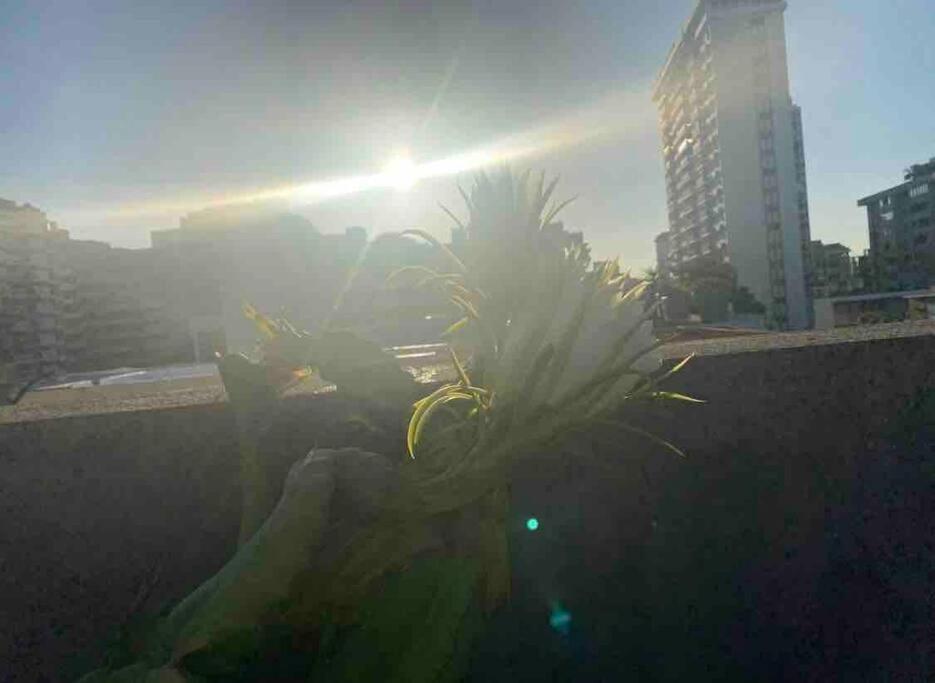 Apartment Fresh Tropical Colonial Style Walk-up- Rooftop Terrace- View *