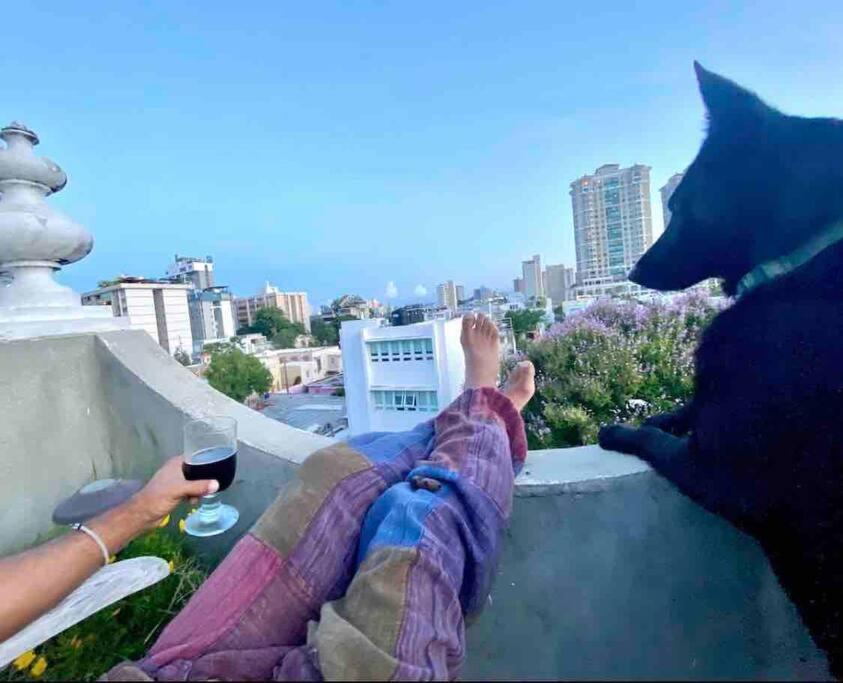 Fresh Tropical Colonial Style Walk-up- Rooftop Terrace- View Apartment San Juan