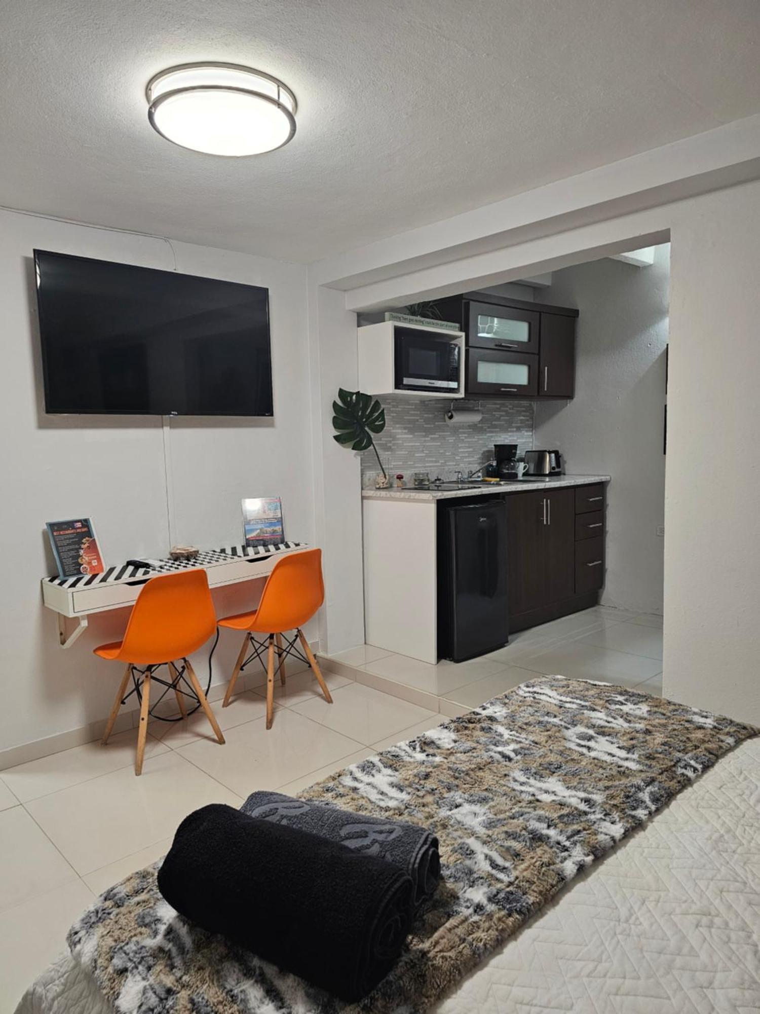 Luxury Apartment