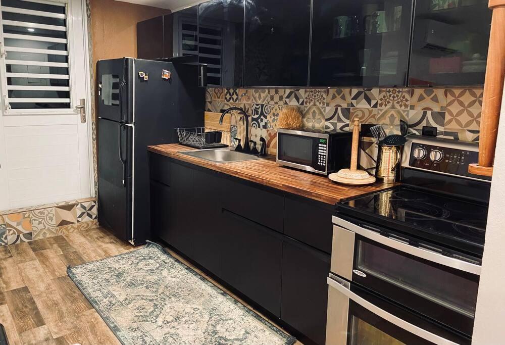 Castillo Del Parque Stylish 2bed Calle Loiza Apartment