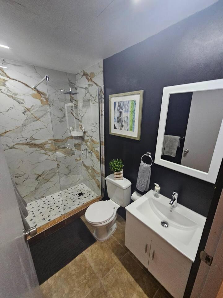 Apartment Santurce Near La Placita 5 *