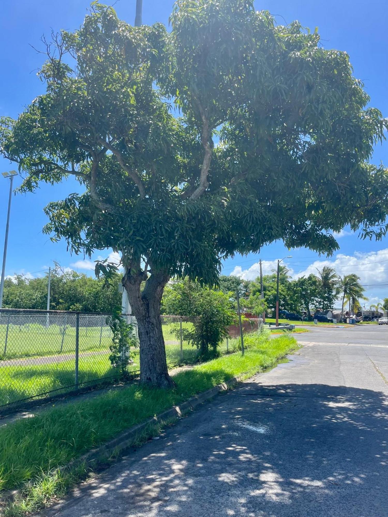 Breezy 1 Bed Apt, Short Ride From Airport And * San Juan