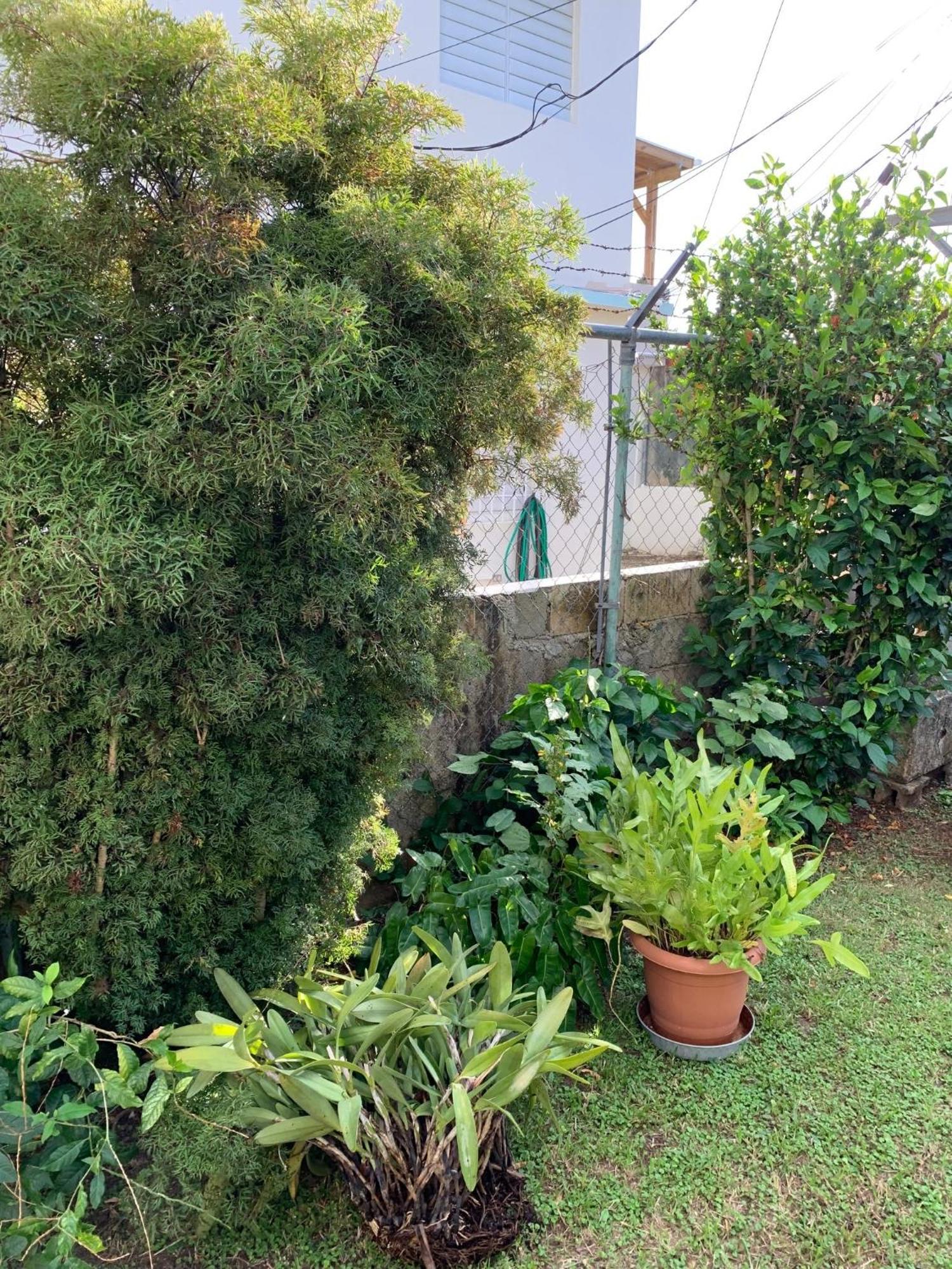 Apartment Breezy 1 Bed Apt, Short Ride From Airport And San Juan