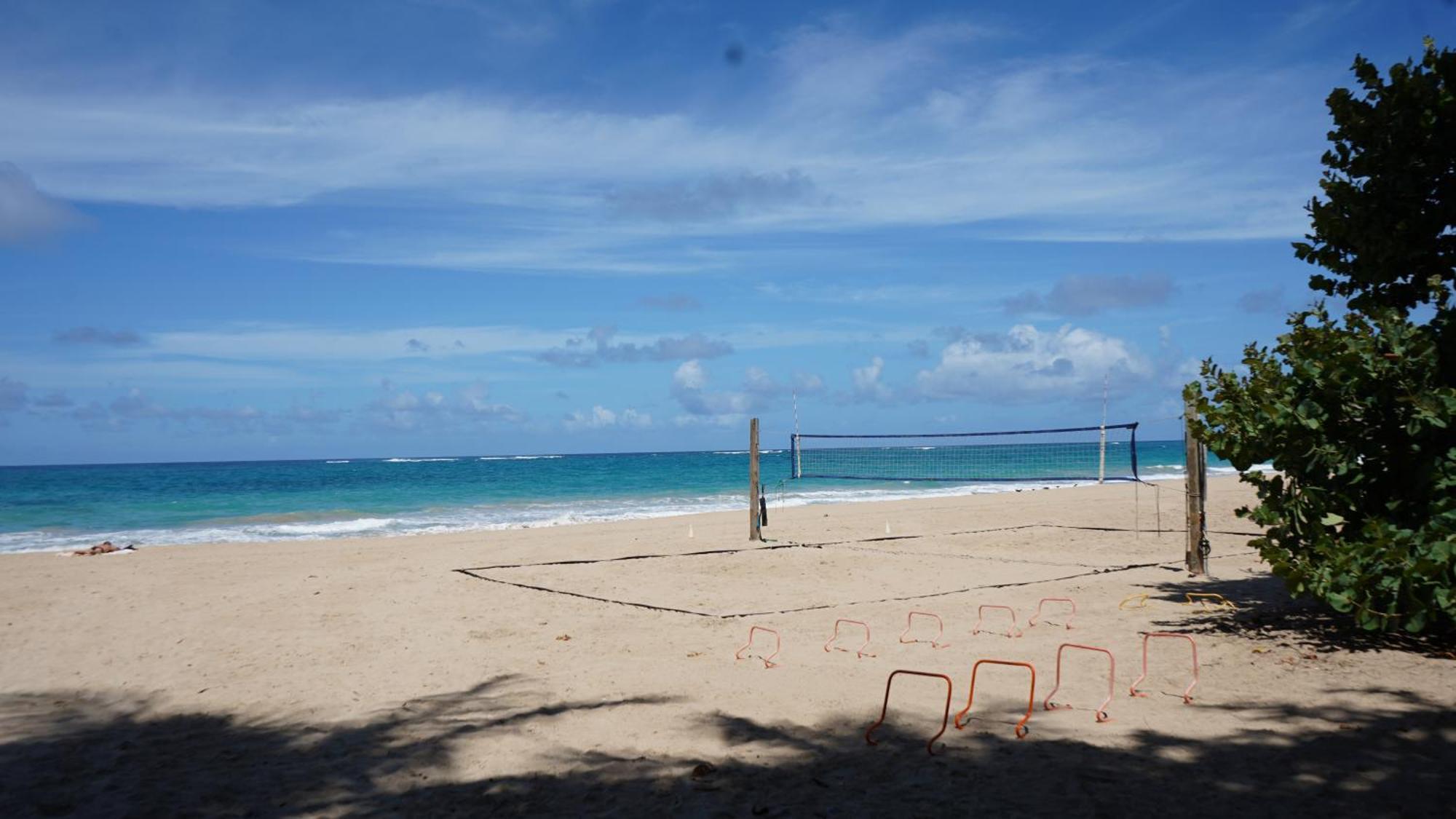 Sea Breeze *