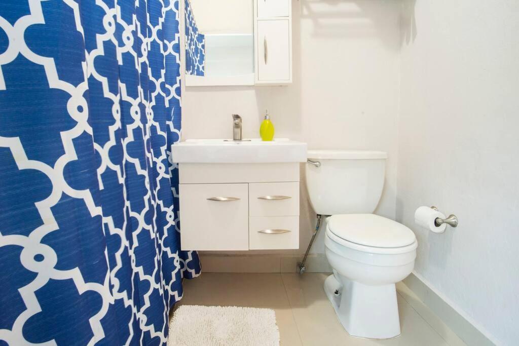 203-tranquil Renovated Charm In The City, Near The With Free Parking Apartment *