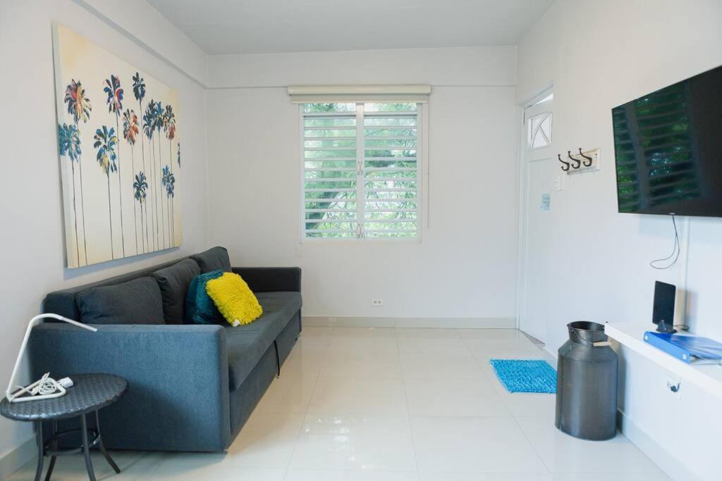 203-tranquil Renovated Charm In The City, Near The With Free Parking San Juan