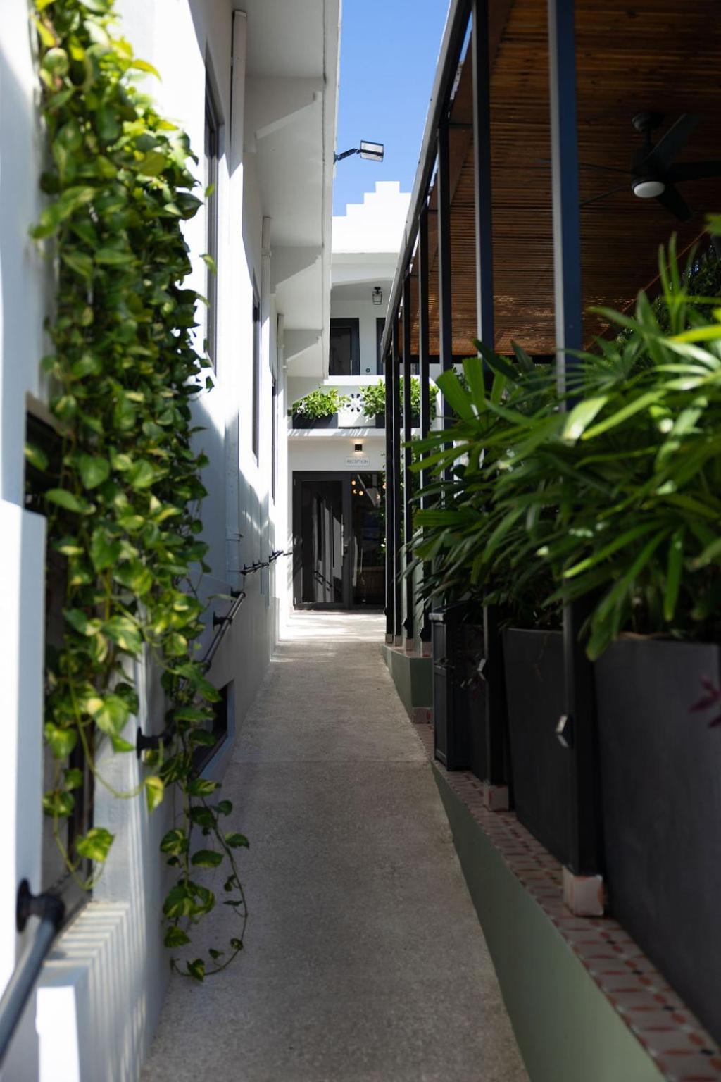 Patio Elba Boutique *