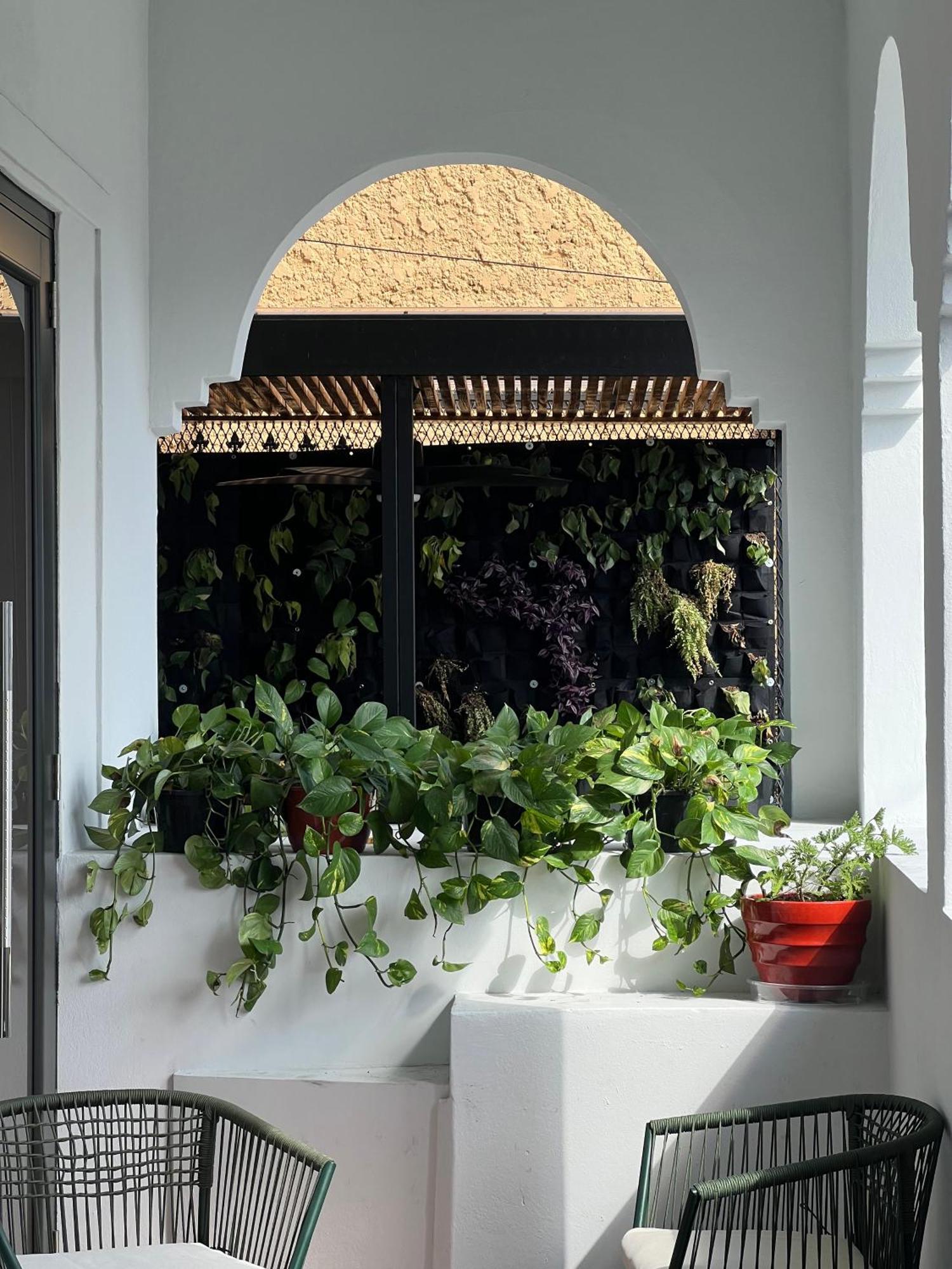 Apartment Patio Elba Boutique San Juan