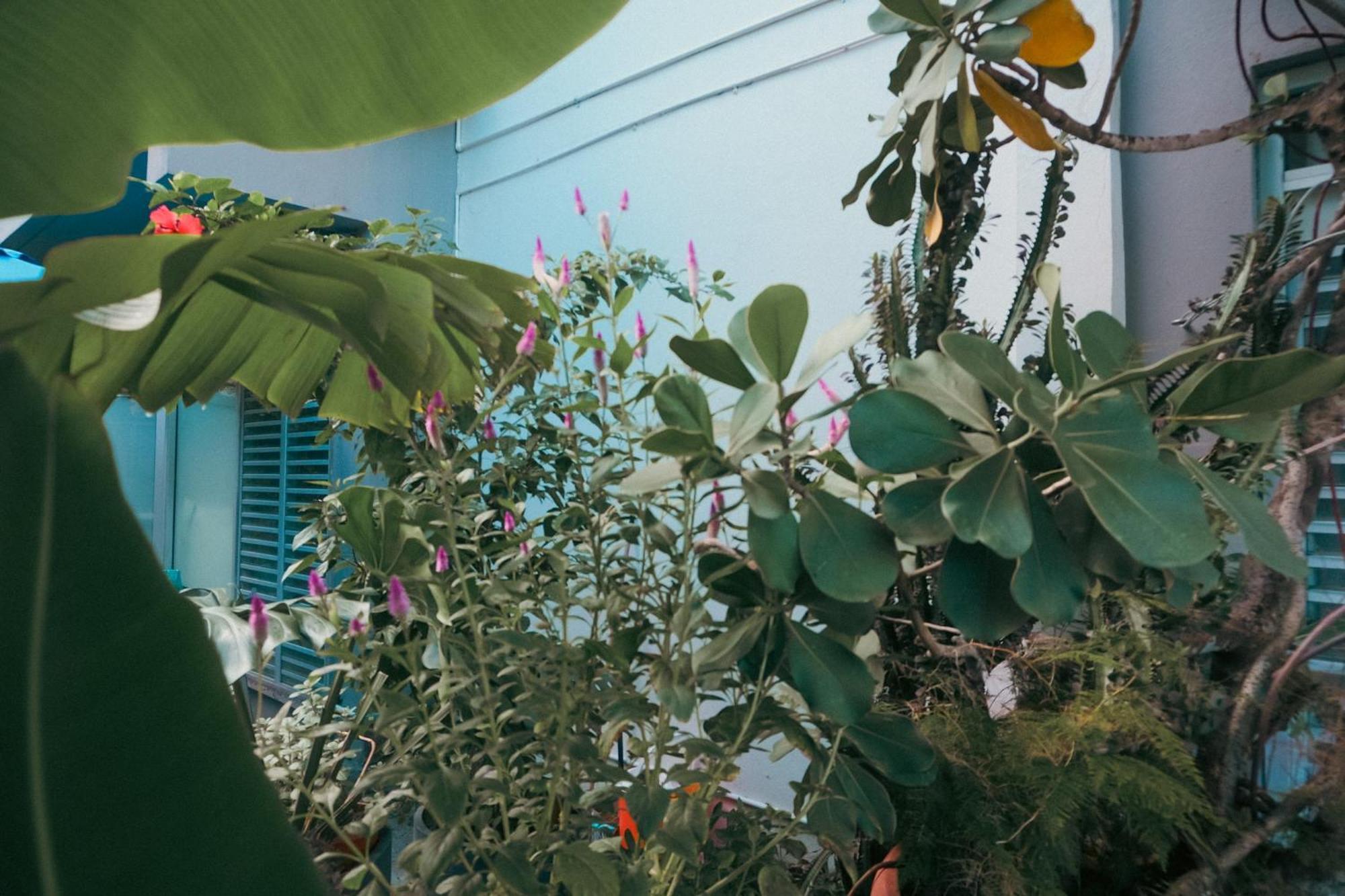 Caribe - Miramar Apartment *