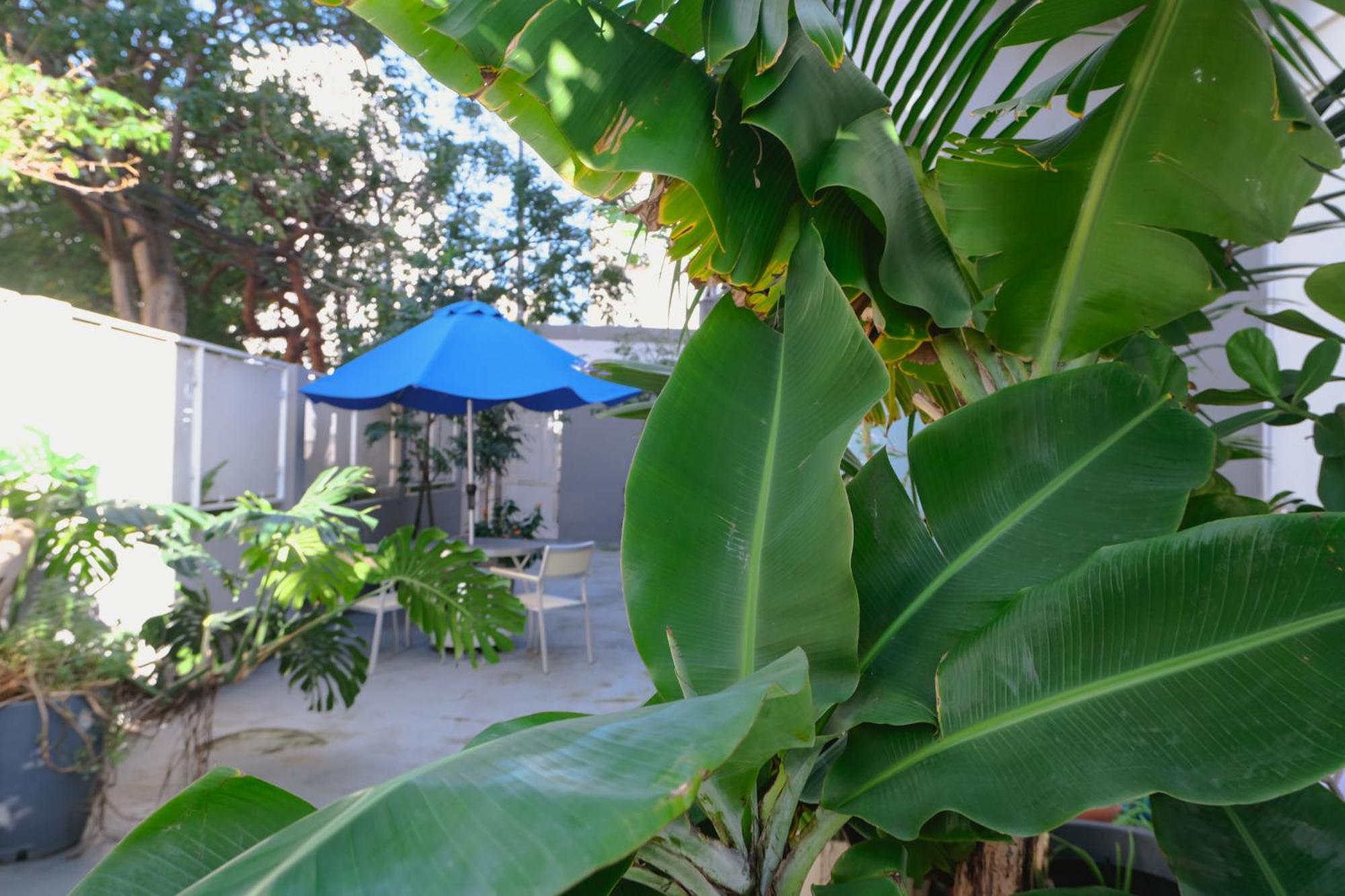 Caribe - Miramar Apartment *