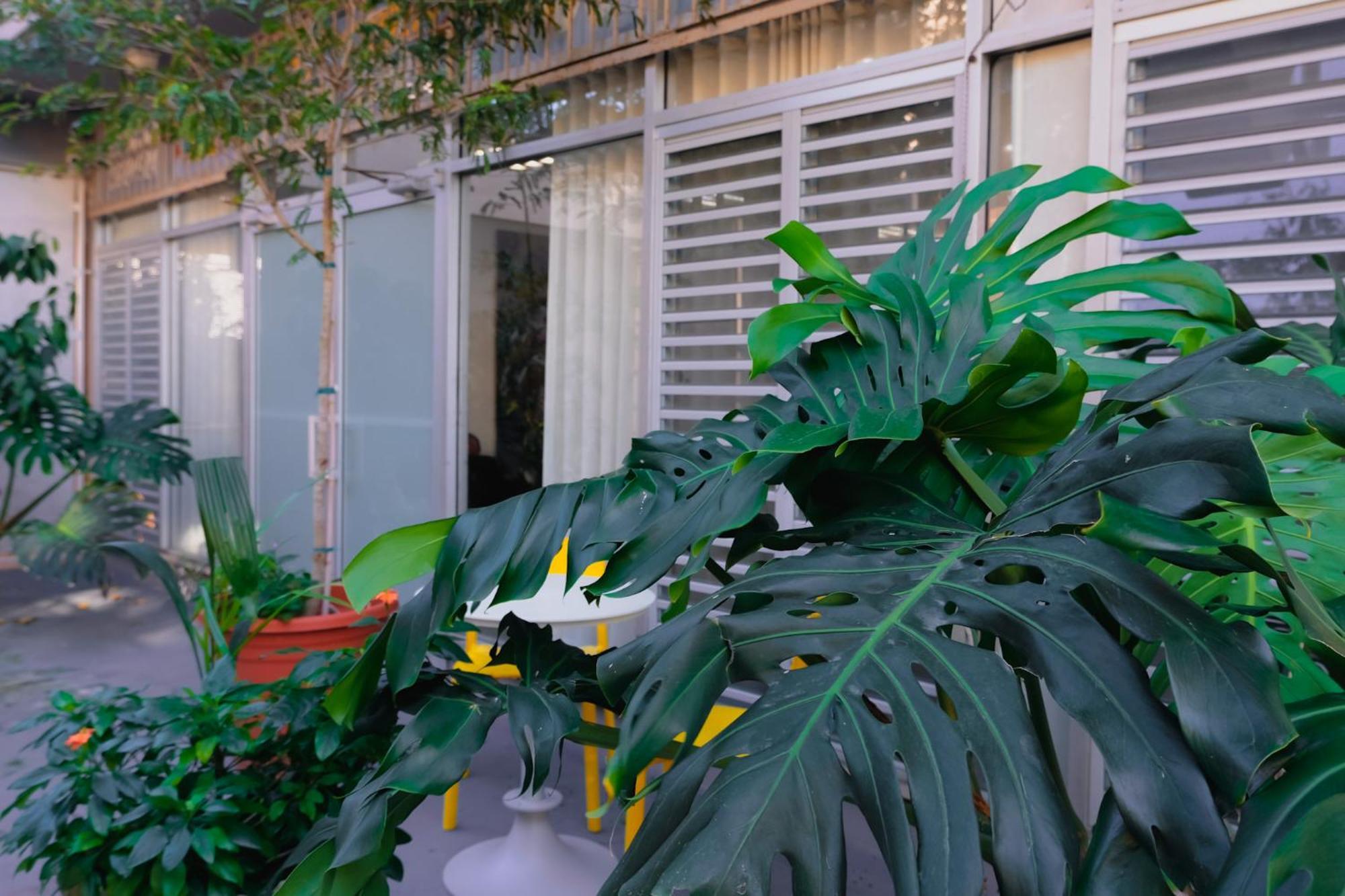 Caribe - Miramar