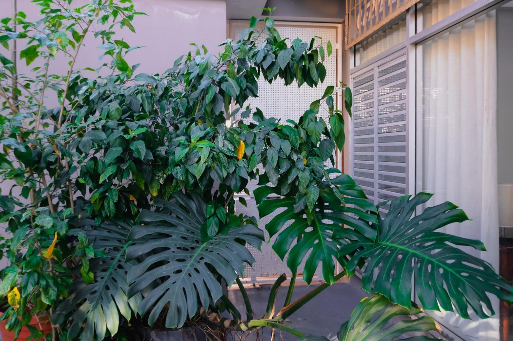 Apartment Caribe - Miramar San Juan