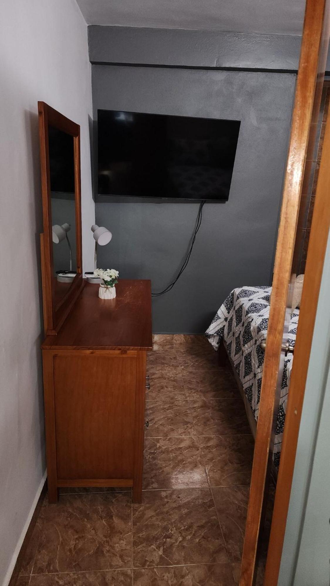 Palmeras New Cozy *