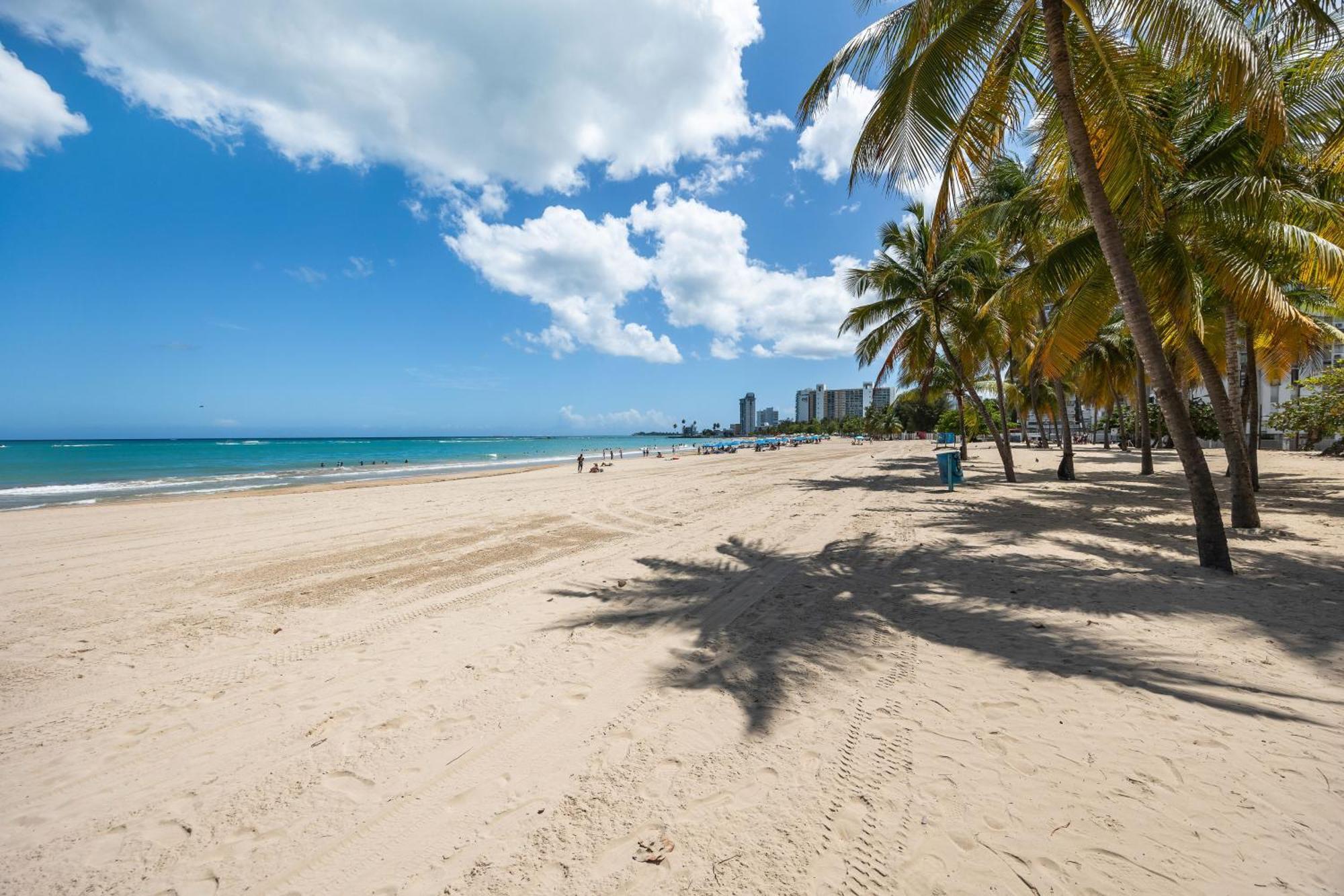 Borinquen 2*