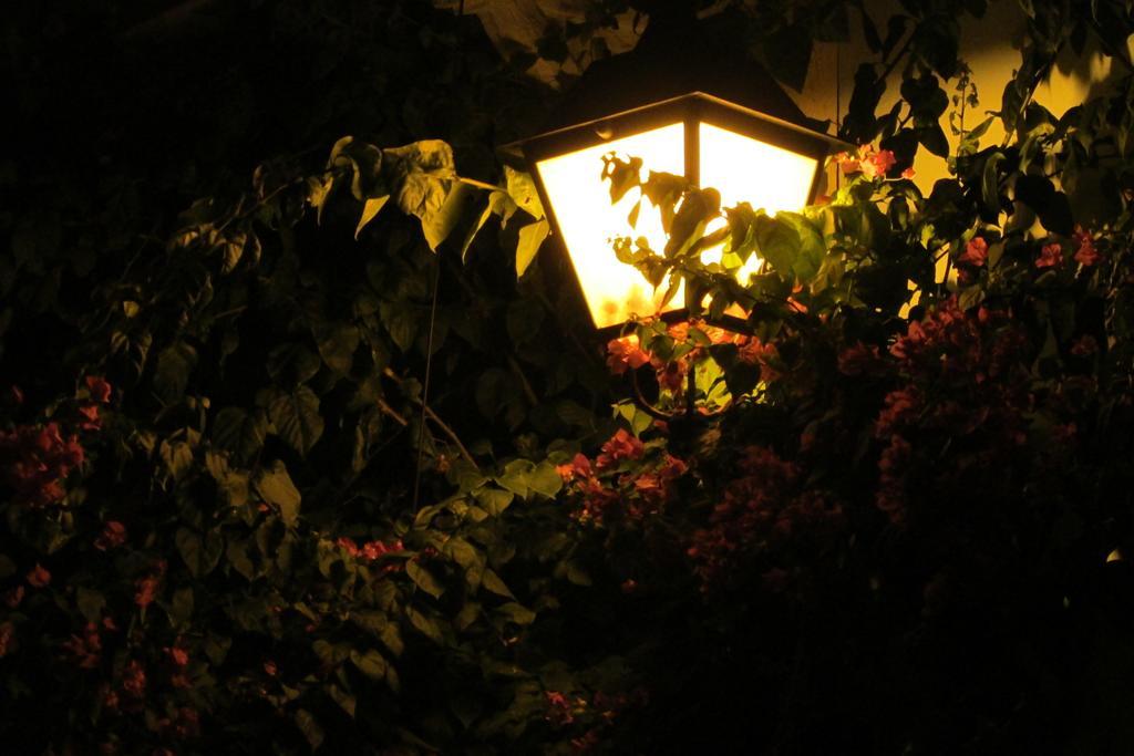 Holiday home L'amore San Juan