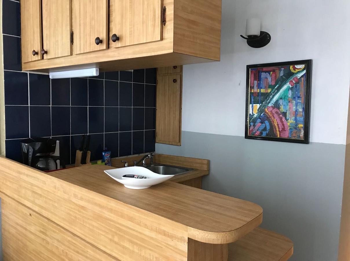 Coco Mar Oceanview Apartment