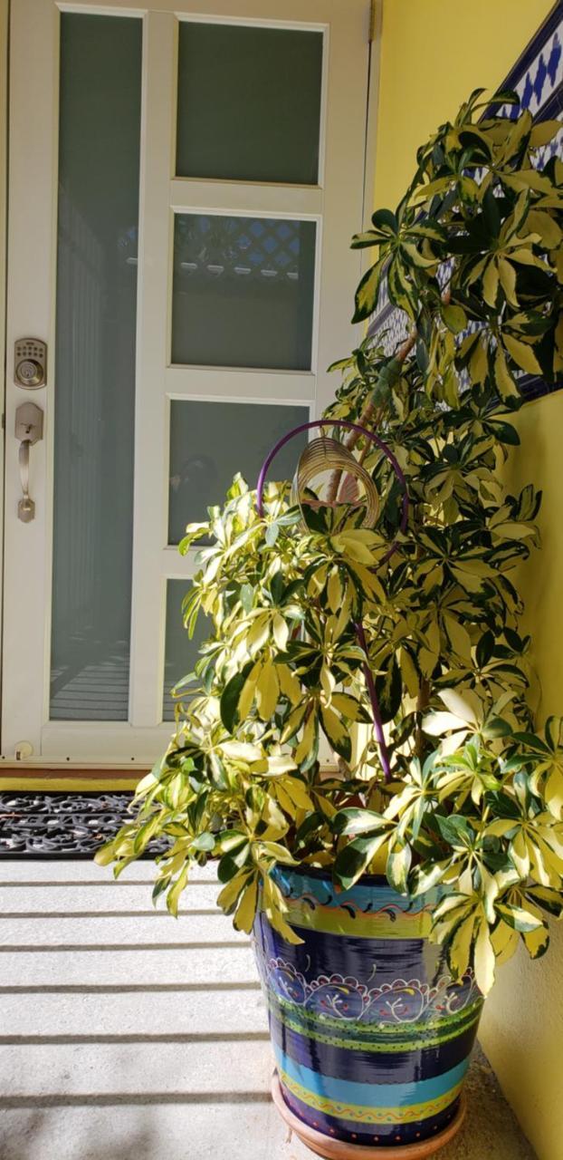 Guest house Andalucia 3*