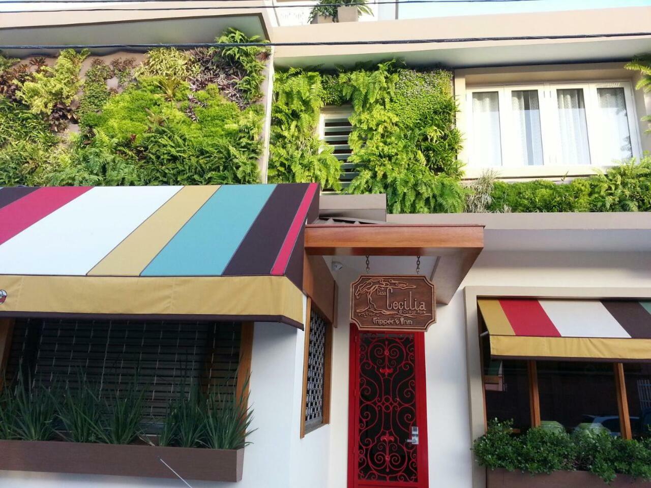Casa Cecilia A Tripper's San Juan