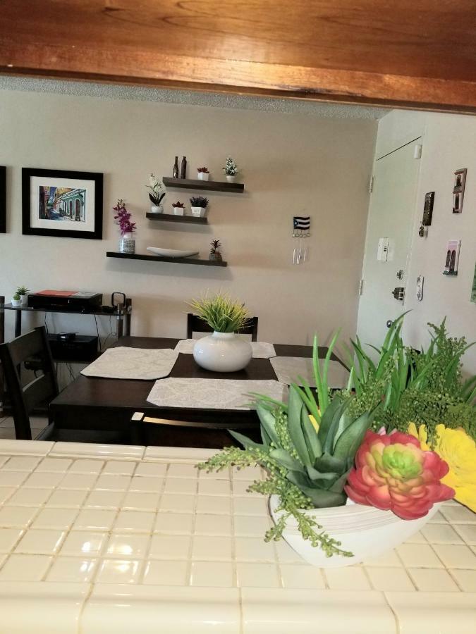 Apartment Amazing Beachfront In Isla Verde