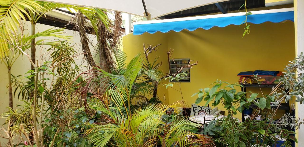 Andalucia Guest house 3*