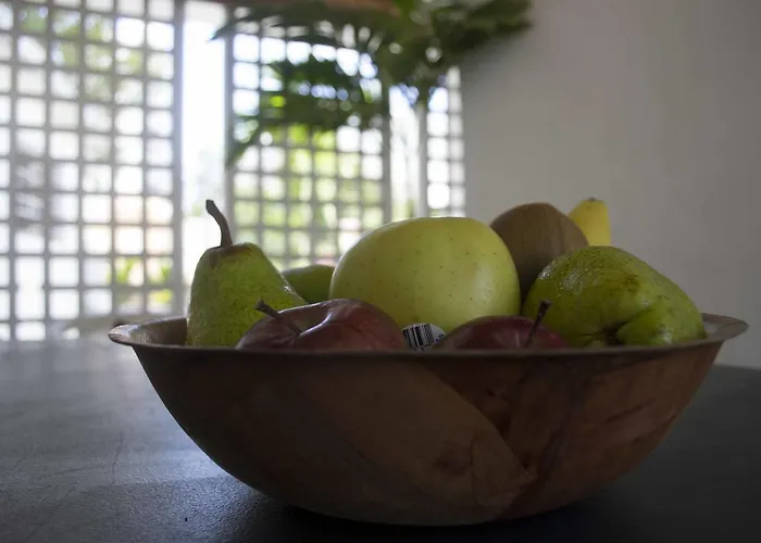 Mango Mansion - International Hostel