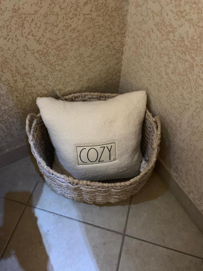 Apartment Paradise Retreat Best Location Coke Cola Live District San Juan