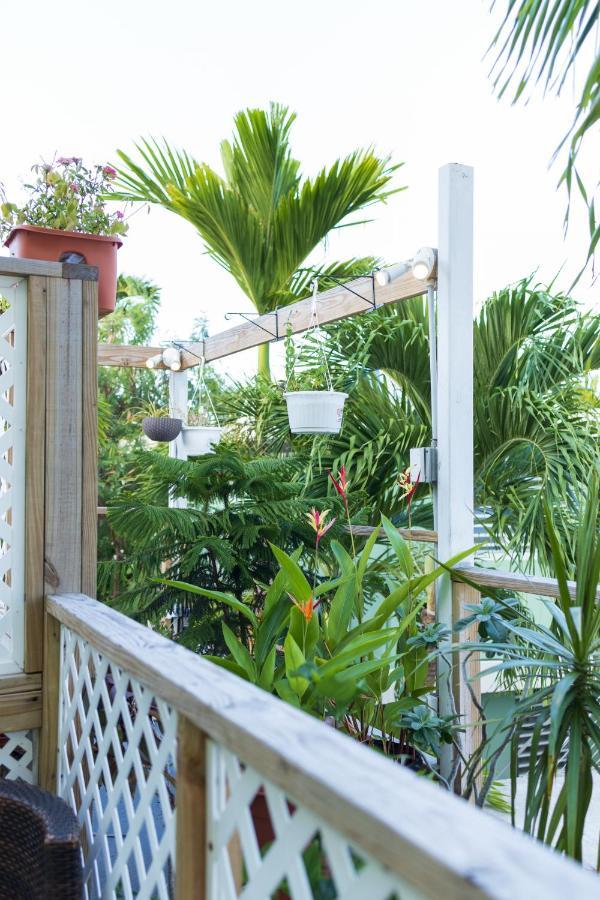 Andalucia Guest house San Juan